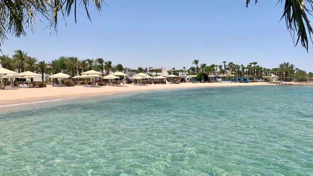 الفندق مينافيل ريزورت - سفاجا